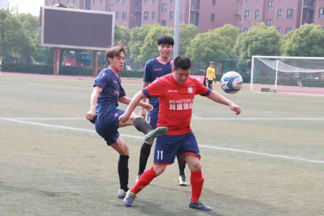 意甲女排科内3-0诺瓦拉夺11连胜 朱婷休战哈克MVP